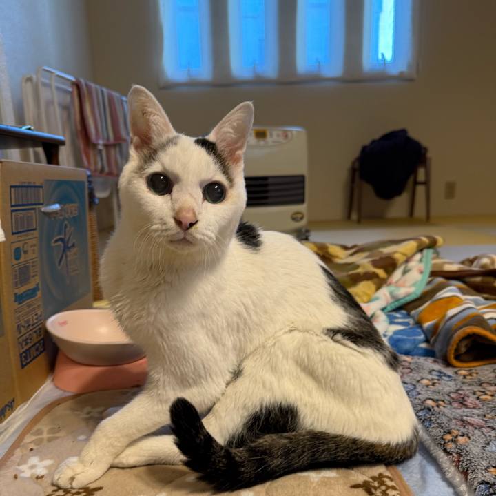 C1ba699f 945a 4446 811d a72467396330 1768614430475