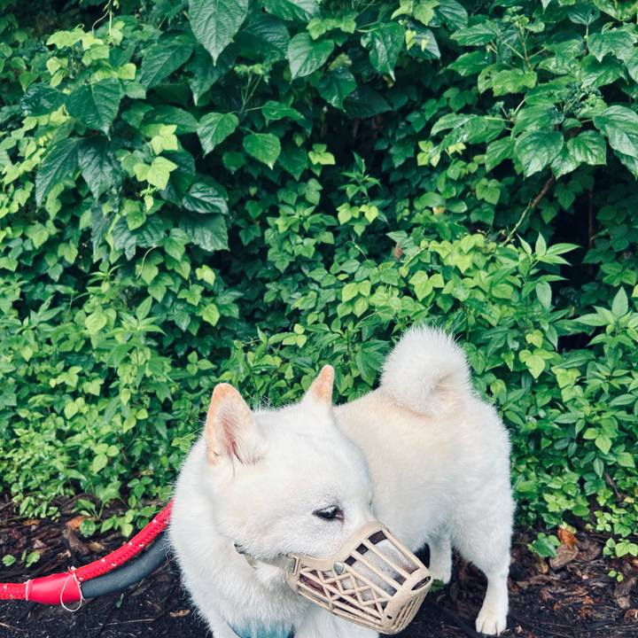 C1ba6fc3 ad54 4bba b4a5 7d29596d36dd 1754340916738