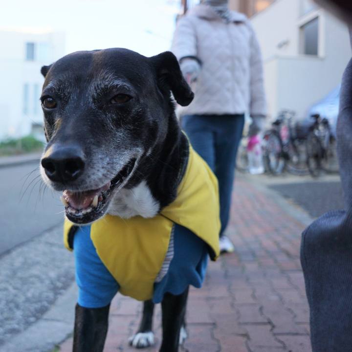 C1ba75c4 8f57 42ea 9bd8 831a26847385 1765498197452