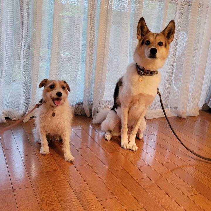 C1ba8b85 2fbe 4b3d a817 dac811f5f809 1660310625694