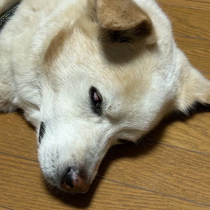 C1bb3b09 3b59 420c 978f 5dc46d70a687 1717855851291