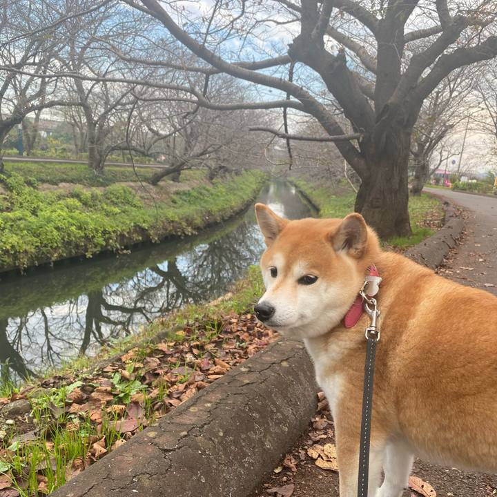 C1bb4ec6 fa41 4cdb 8d84 128ee163a01b 1604705557019