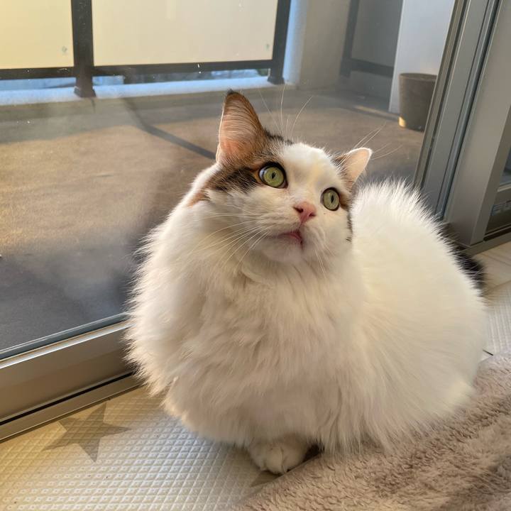 C1bb5268 f405 4e4b 8254 451e0e27e5fc 1767837026276