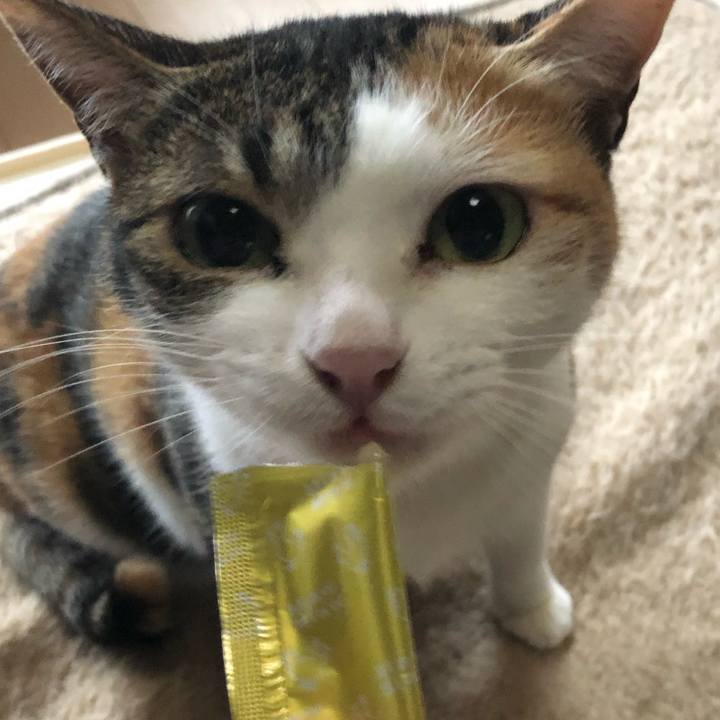 C1bbccab 7c8e 4003 80f4 9b436c50ded7 1615188619431