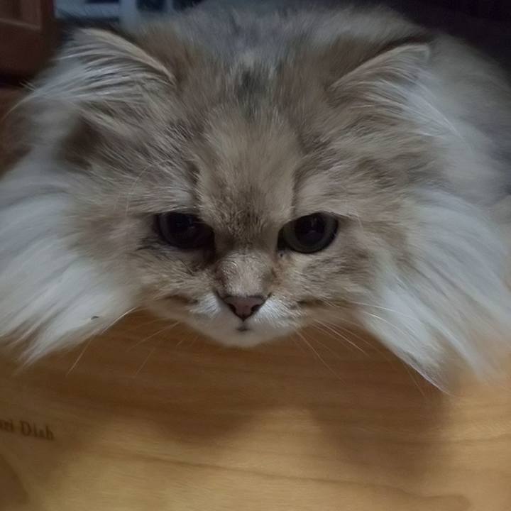 C1bbe278 d3fe 4c8f b3a1 e9607e3eae66 1612790821250