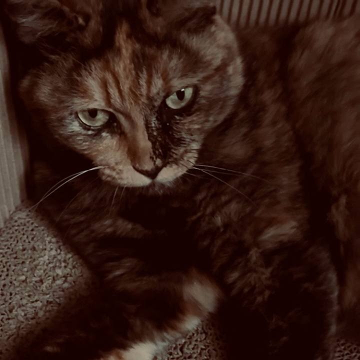 C1bbe2f5 1c37 4f3b 8399 d44f6254dcc7 1755635620779