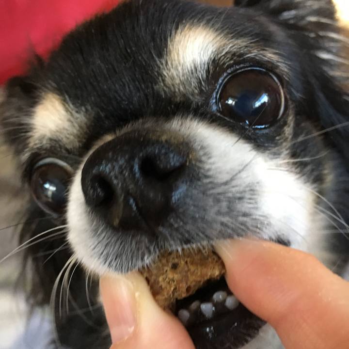 C1bbec59 54ba 47e8 bf6a 226aea53043c 1514782911168