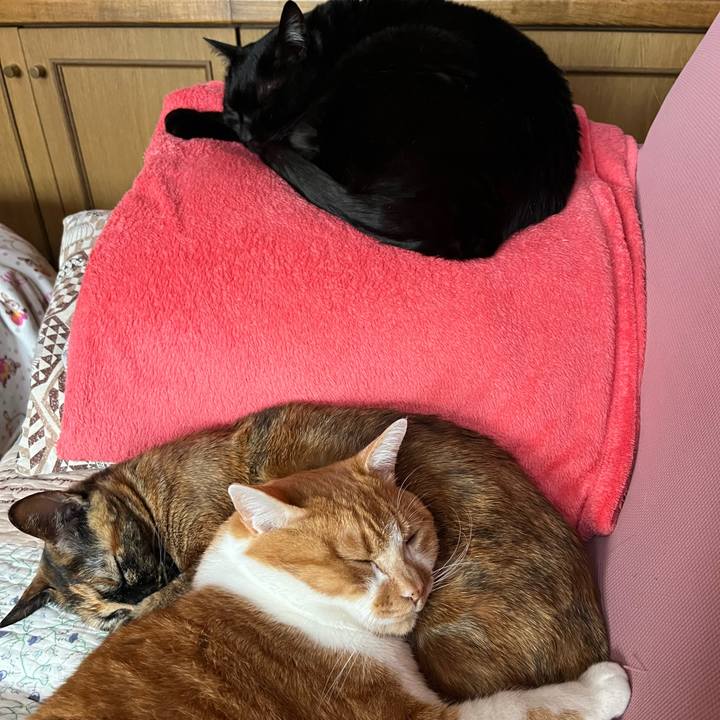 C1bbedac 5380 477f ab70 bd7341d8718a 1771224524706