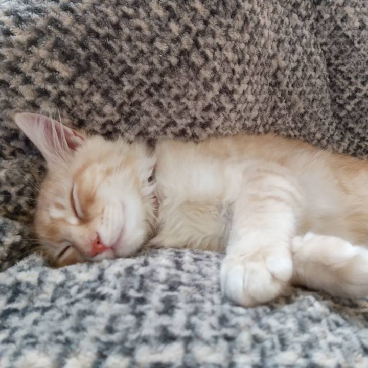 C1bc06cb b6d9 45e7 b6ce 27162c0a6be0 1607667393571