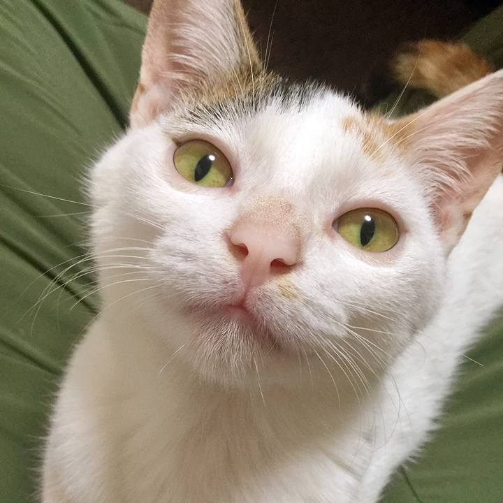 C1bc0aa8 768b 4fef 9319 44e095c9518d 1542648923945