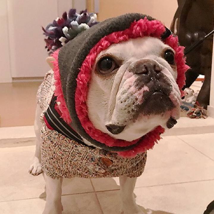 C1bc37ac 7042 4e3a 9468 3522719b9e37 1516770224784