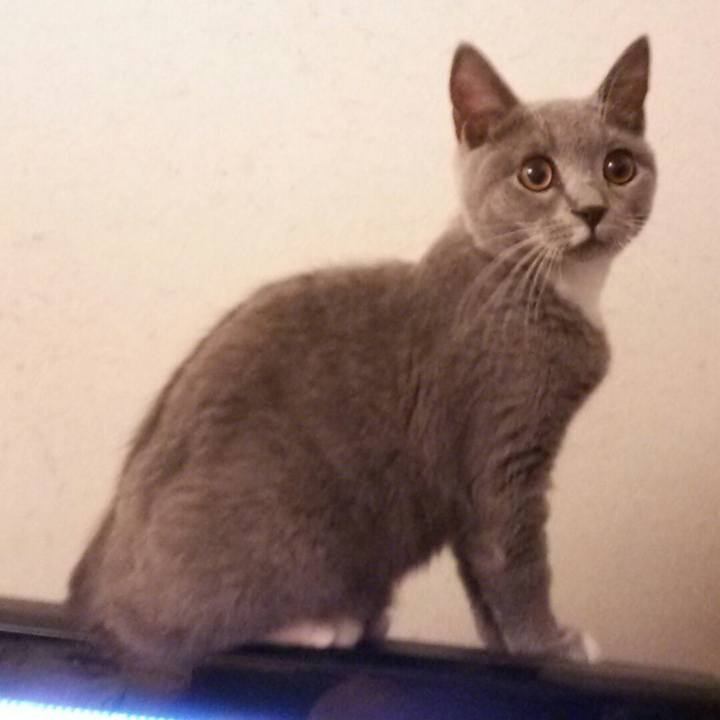 C1bc5264 08d2 4b13 be9e 3f91cbdacad0 1536058138981