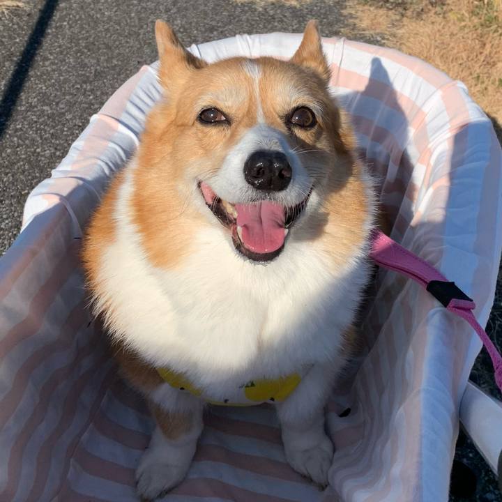 C1bc6095 9eb2 40f1 8af0 cc2d69e0d436 1703818208057