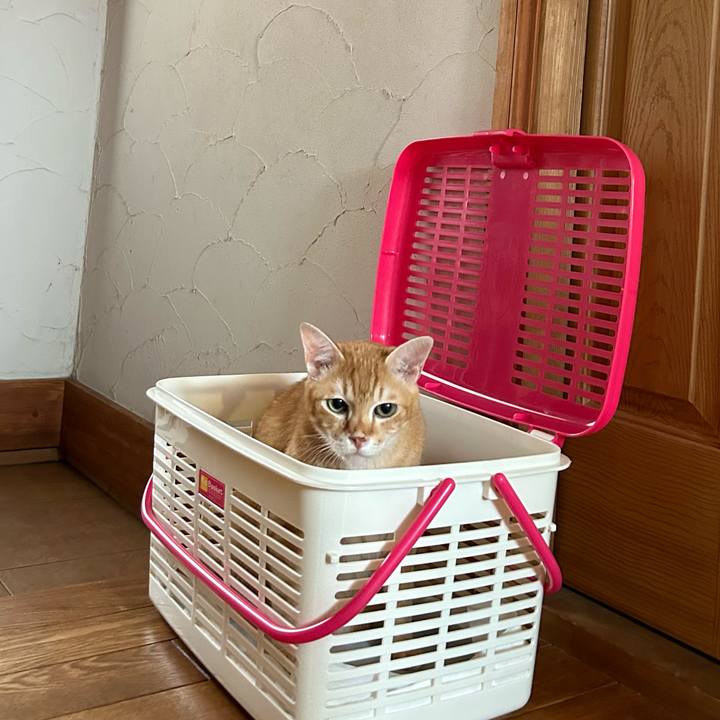 C1bc9cca 582b 44d4 a3ba ccd70aef3d3c 1693454461486