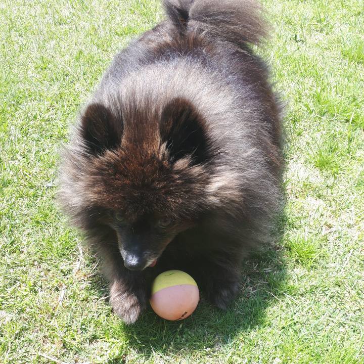 C1bcb29b 4e7f 492a 8b96 bb97b40d2100 1523242545282