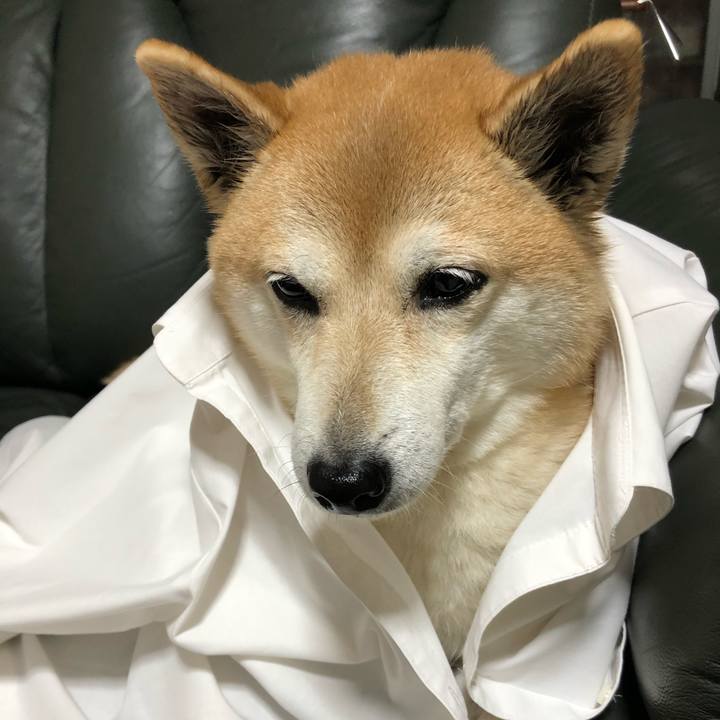 C1bd0bc6 992f 4a07 9c75 2f60af5c7274 1606799448308