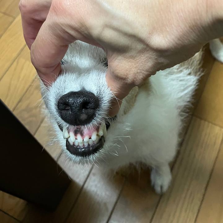 C1bd18fa 8ae7 4f89 9efd 5c84ed4c2062 1722554746497