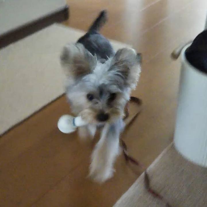 C1bd1d09 4de1 4571 adc7 21596092659e 1539772251851