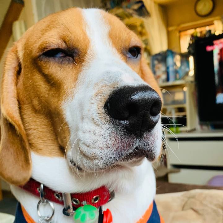 C1bd2a02 ce21 405e 9dc3 d7084dda4ffe 1543030790139