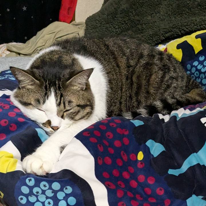 C1bd89fd 87f4 4863 b490 e2259d4409a4 1730202996260