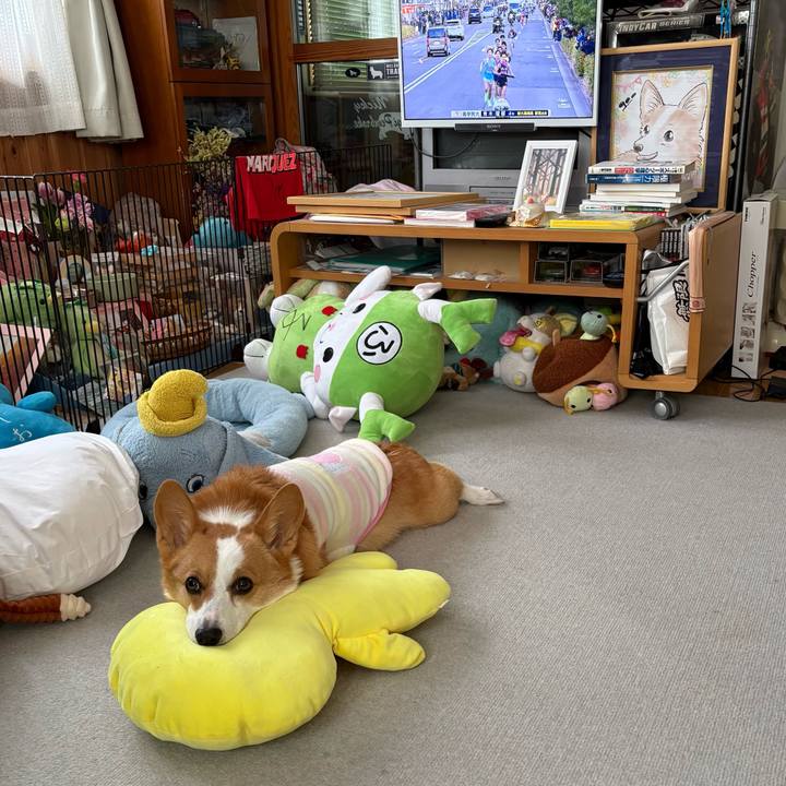 C1bda4ff 72de 44b3 833f a697dbbf4fcf 1767311597166