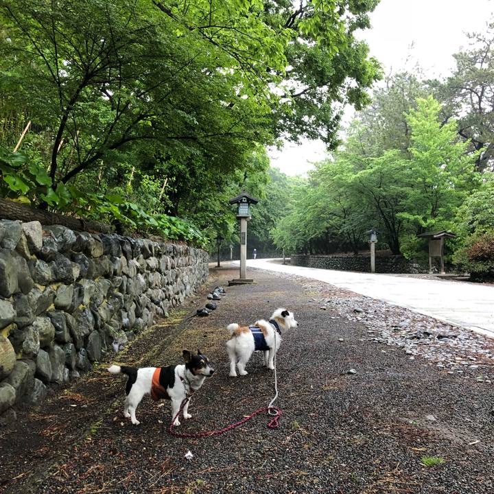 C1bdbd71 06b5 49ce b7fa 67805a447bb0 1527120792118