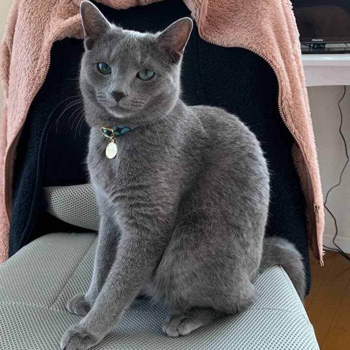 C1bdec6e 16d0 4886 afcd 348fbf69667c 1584608228315