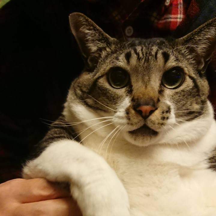 C1bdff3c 5415 46d5 b47c 6b9ae80e7906 1583667056807