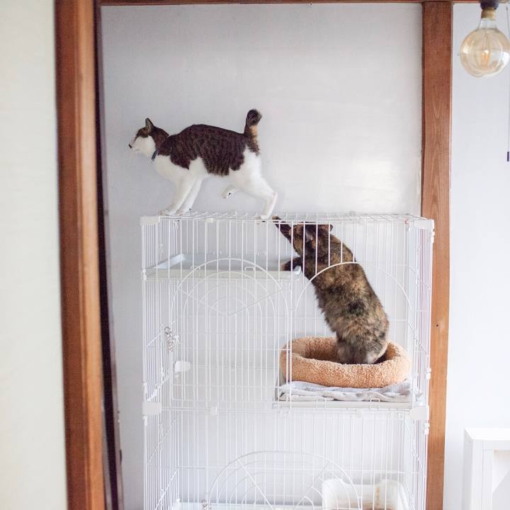 C1be01af 6840 48c4 8e72 f0ec3b7e839d 1575895032837