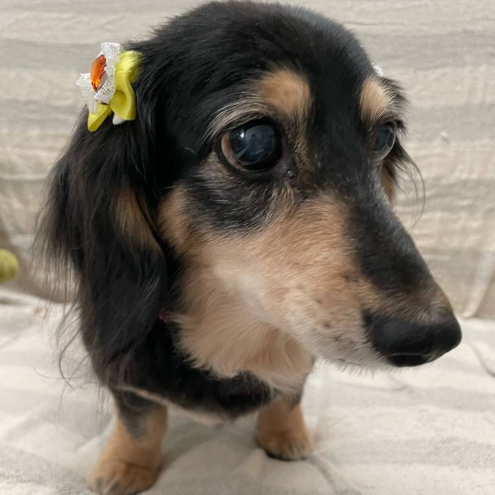 C1be294d 774c 44bc 8315 796761be769b 1652662778371