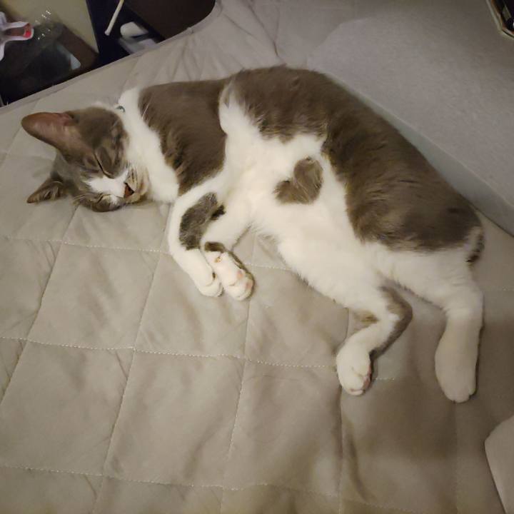 C1be359b 9e20 4c78 8b2d 5013c4569baa 1695560132548