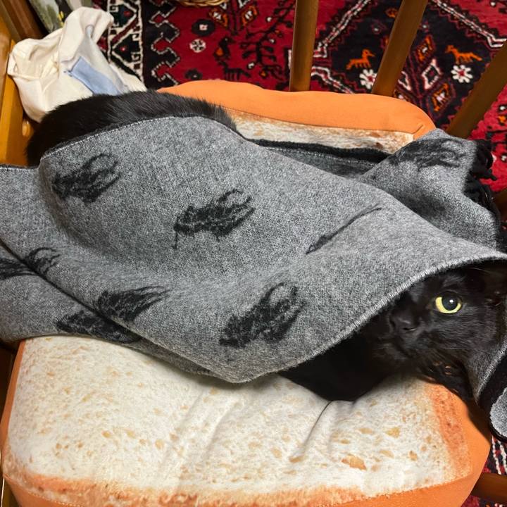 C1be7687 2c42 4252 8741 ff9e822f73a4 1704624708134