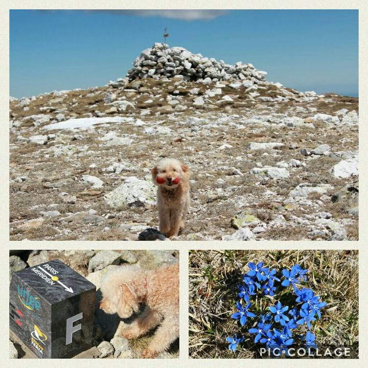 C1bea4f2 aad2 4233 a2c4 93cc92d893cf 1560184571990