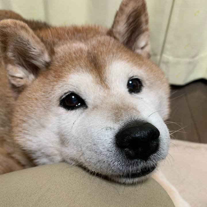 C1bede77 7320 43eb ab61 de3e7ad5b2ac 1592780148439