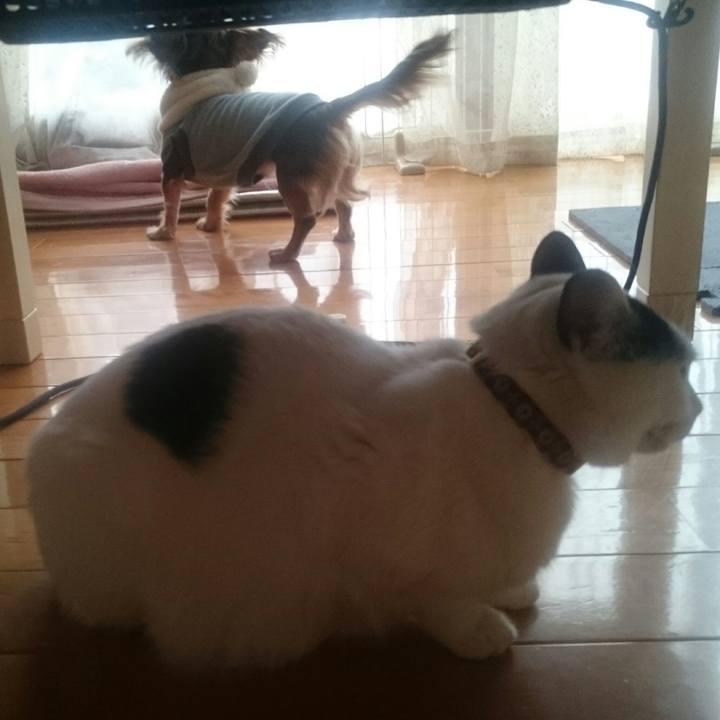 C1bf07f1 5475 453d 81c8 b9cd129486b2 1520058426835