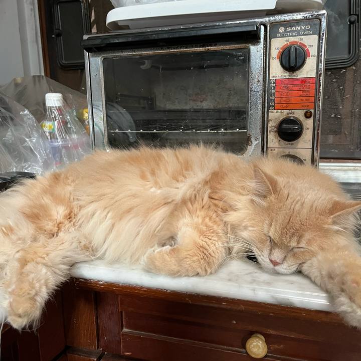 C1bf1505 94dd 4baa a307 e01ceeffb03b 1764415507035