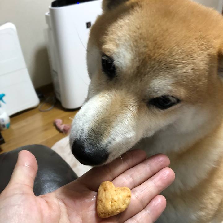 C1bf15ee e424 4e0e aec3 488dcb78c57f 1551183523355