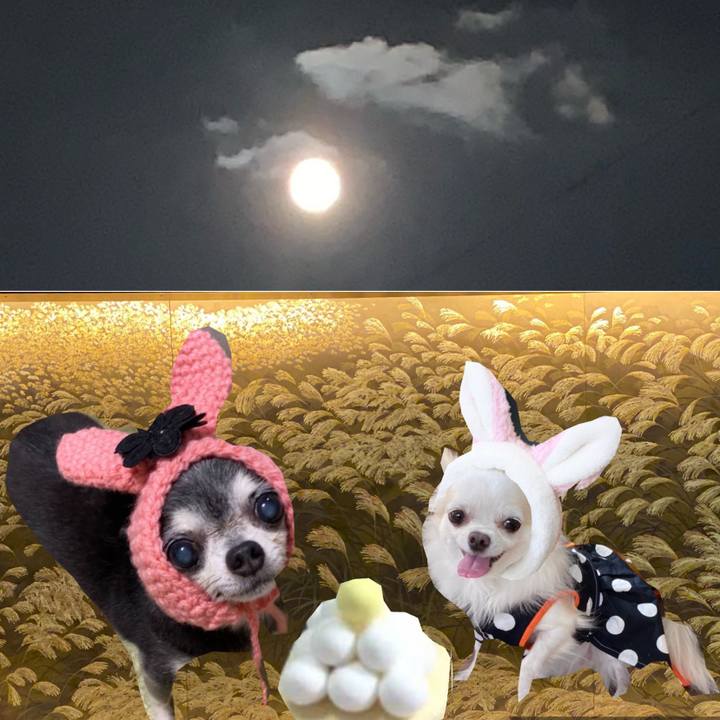 C1bf30ab de1d 4782 9f7d 92a1f1fe11e3 1601644031327