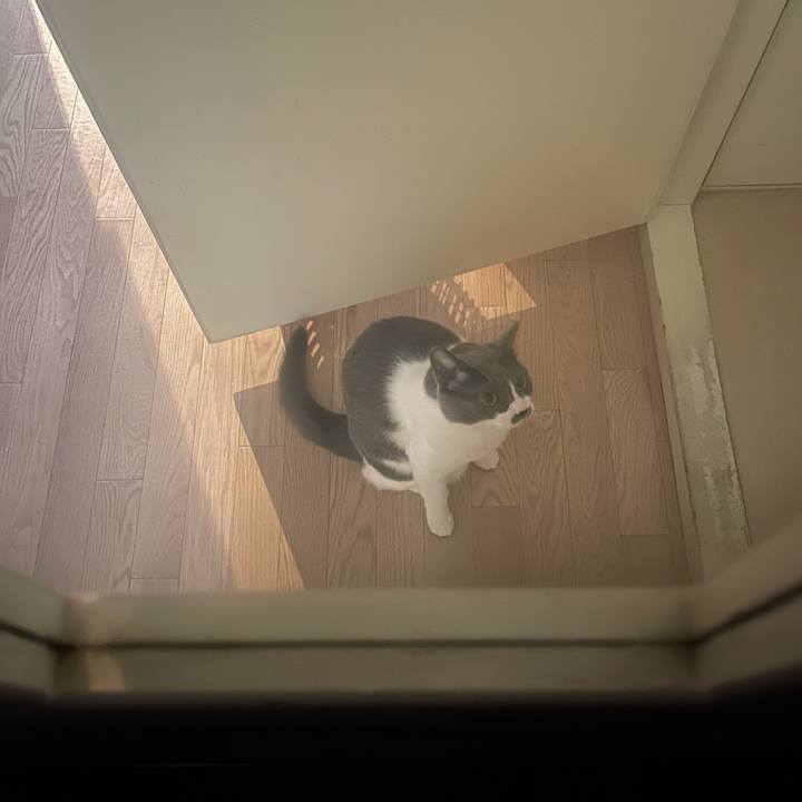 C1bf5acc 44ad 48af 803d db5d152f7f7c 1751614637392