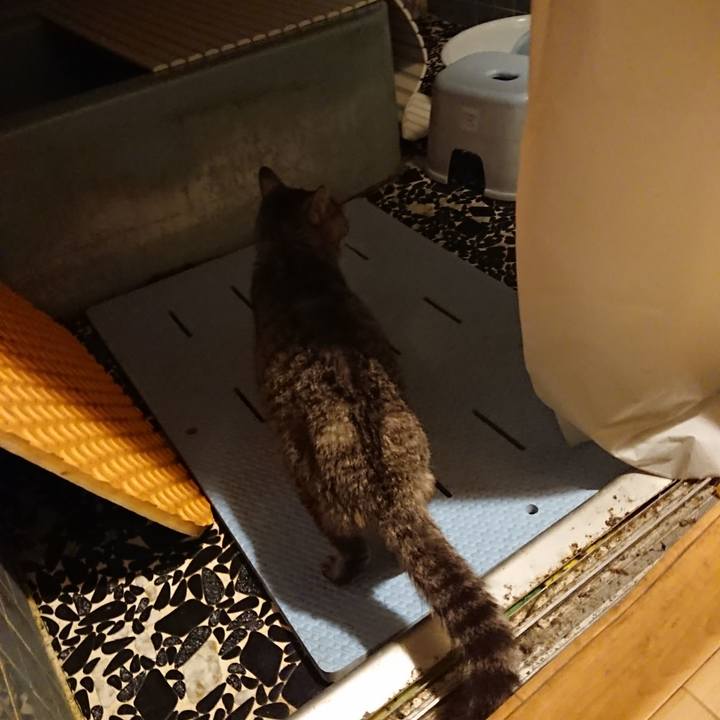 C1bf894e af05 49c9 bbf8 c96b602a8891 1581672509088