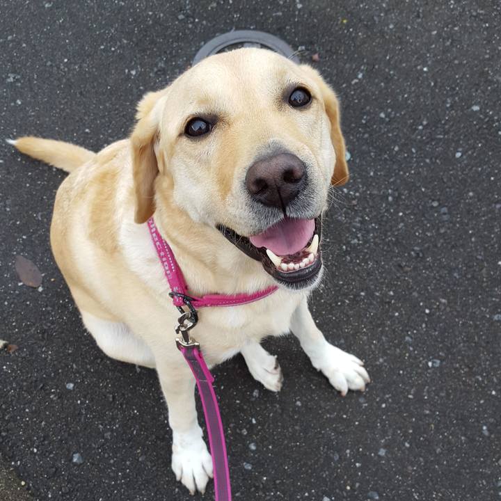 C1bfef45 ec11 4538 9f2a d919cc8842ea 1507939164163