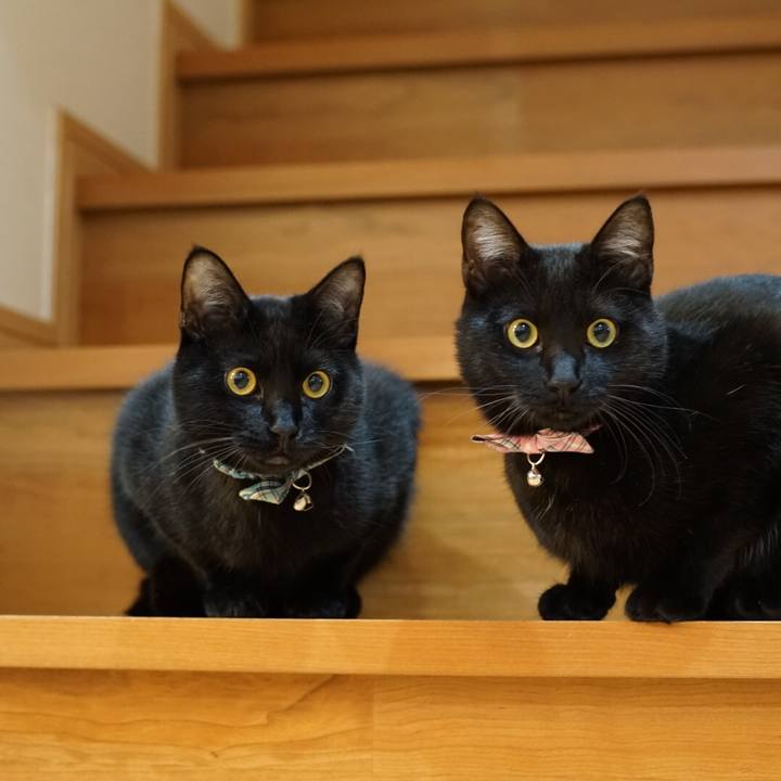 C1bff4be 771c 4498 927b cb728bb19a48 1518046356379