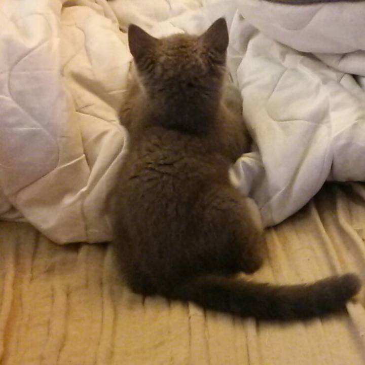 C1c01f45 d42f 465c 965e 658528128d6c 1531464988148