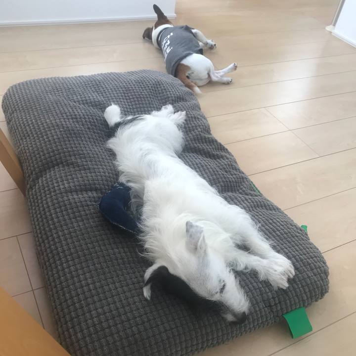 C1c08660 32d7 4c8e 933e 1c761e6c0f7c 1532917590962