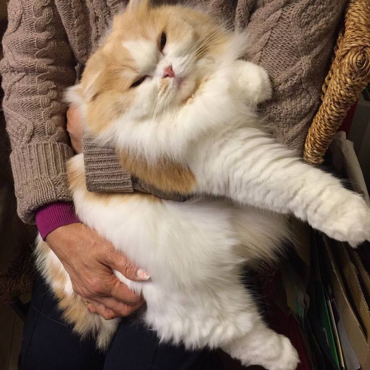 C1c097cd 0aa9 4909 87be 657f4d287d71 1515415947166