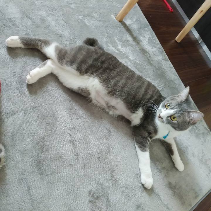 C1c0c389 9f4e 477d b619 dbe02ea07b9d 1587078288688