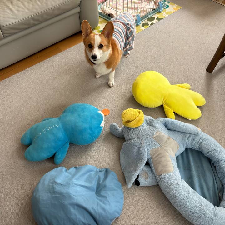 C1c0d963 7639 4201 bc98 d82a3ec92dbf 1757383102554