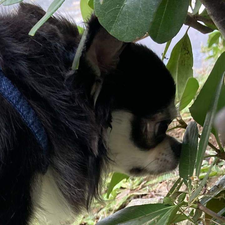 C1c10bf9 8733 41dc 9883 75ddffe6cc41 1633839313067