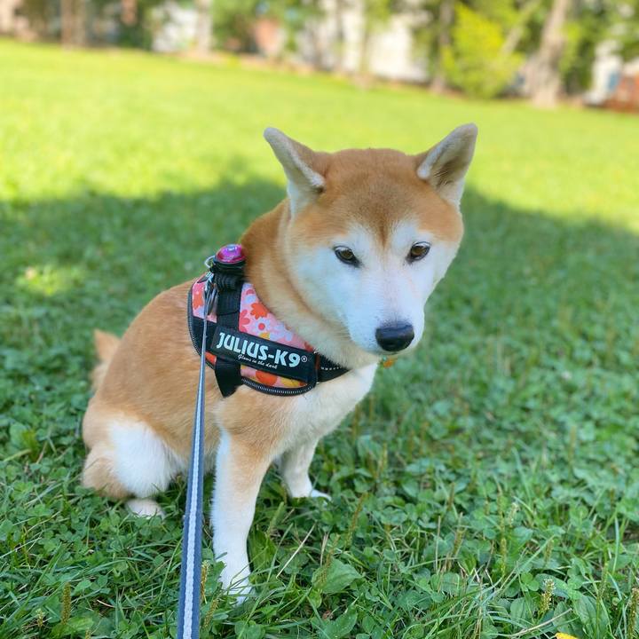 C1c10c3e 04f8 46c4 a89d 834a10c23692 1630373358153