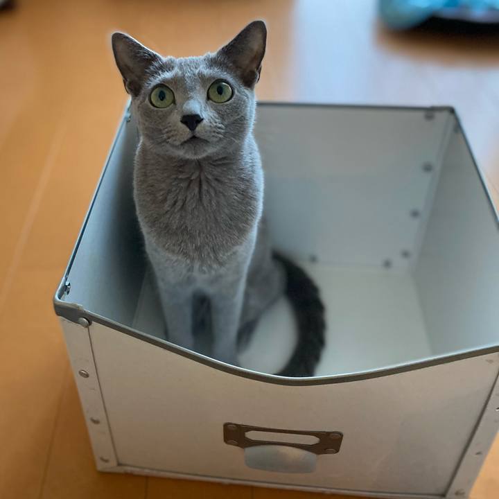 C1c1238d 5cb6 4e4b 9bf0 723c082a77d3 1694585408105